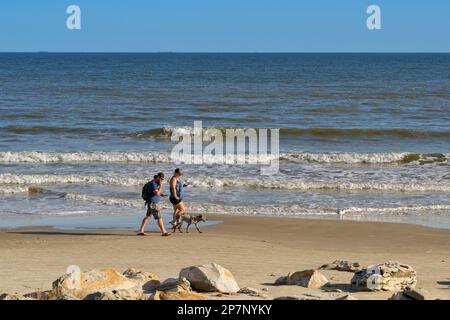 Galveston, Teaxas, USA - Februar 2023: Zwei Menschen gehen mit ihrem Hund am Stadtstrand spazieren Stockfoto