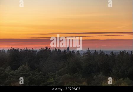 Panorama der Waldgegend bei Sonnenuntergang Stockfoto