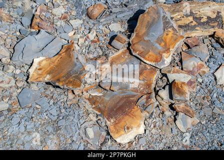 Stein am Strand im verlassenen Hafen von Port Mulgrave, aus dem früher Eisenstein exportiert wurde (längst aufgegebener Hafen); Stockfoto