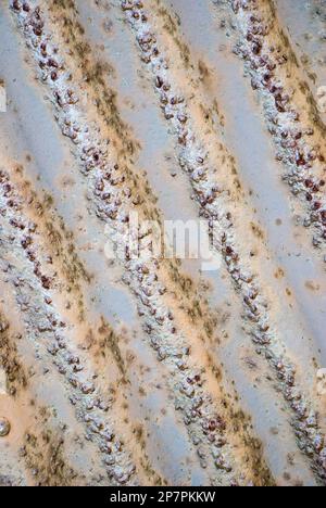 Jede Menge abblätternde Farbe und rostendes Metall inmitten der Flotten und Treibhölzer, die sich am Strand von Port Mulgrave in Yorkshire befinden. Stockfoto