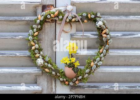 Frühlingskranz in Herzform mit moos, Weidenkatzen, Zwiebelset und Narzissenblüten Stockfoto