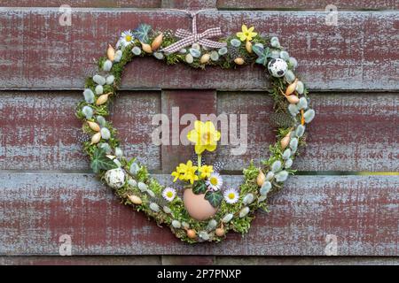 Frühlingskranz in Herzform mit moos, Weidenkatzen, Zwiebelset und Narzissenblüten Stockfoto