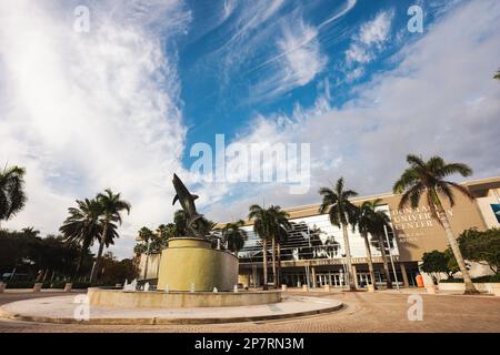 Die Haistatue der Nova Southeastern University in Davie, Florida Stockfoto