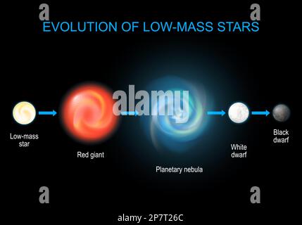 Eine brillante Evolution. Der Lebenszyklus der niedrigen Sterne von Rotriesen und Planetennebel bis zu Schwarzen und Weißen Zwergen. Infografik zur Astronomie. Stock Vektor