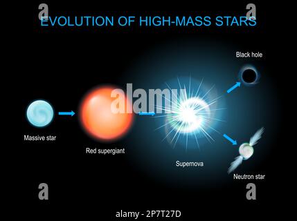 Eine brillante Evolution. Der Lebenszyklus von riesigen Sternen, von roten Superriesen und Supernova bis hin zu schwarzen Löchern und Neutronenstern. Vektorposter über Astronomie. inf Stock Vektor