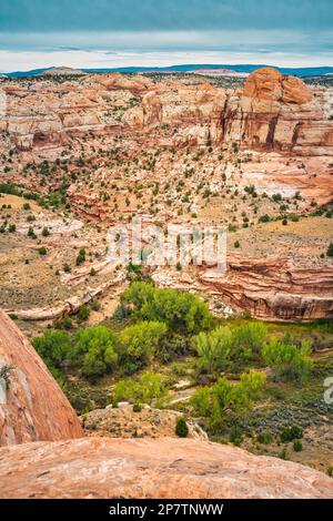 Escalante River Valley im Grand Staircase-Escalante National Monument in der Nähe der Stadt Escalante, Utah, USA. Stockfoto