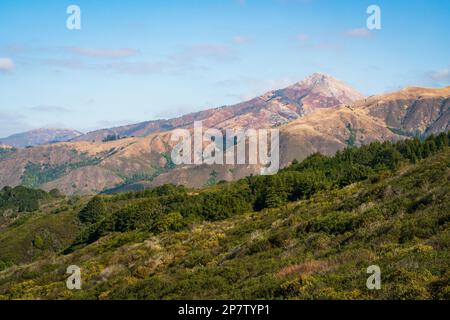 Andrew Molera State Park in Kalifornien Stockfoto