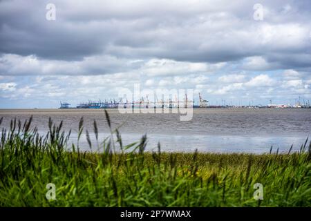 Containerhafen Bremerhaven aus Sicht von Nordenham Blexen, Deutschland 2022. Stockfoto