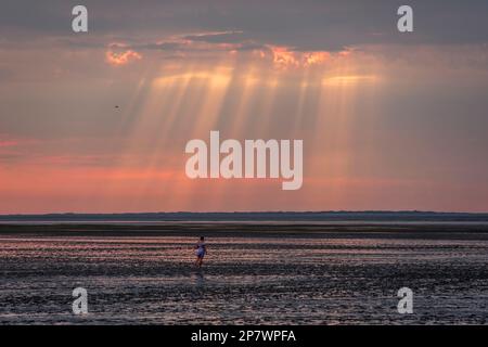 Eine Dame in violettem Kleid wandert auf dem trockenen Meeresboden des Wattenmeers zwischen der Küste von Harlesiel und der Insel Spiekeroog, Deutschland 2022. Stockfoto