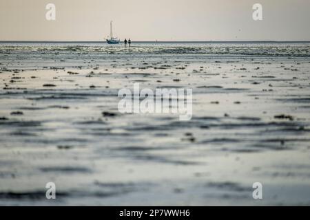 Zwei Personen gehen bei Ebbe über trockene Schlammflächen zu ihrem Segelboot, Niederlande 2022. Stockfoto