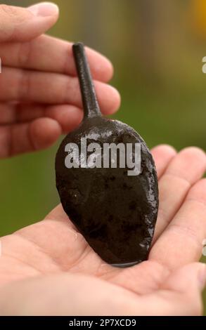 AJAXNETPHOTO. 20. August 2008, Krusmyntagatan, Gotland, Schweden - 1566 UHR SCHIFFSWRACK VISBY - HUMA - Heritage Underwater Marine Archaeology - Ein Löffel, der während des Tauchens im Sommer vom Ort gefunden wurde. FOTO: JONATHAN EASTLAND/AJAX REF:82008 1143 Stockfoto