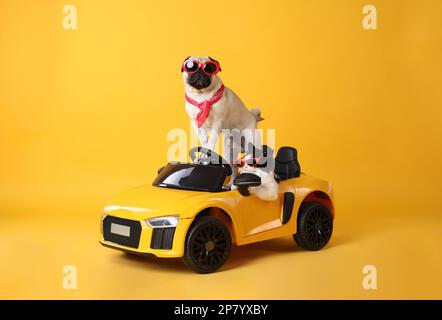 Lustiger Hund und Katze mit Sonnenbrille im Spielzeugauto auf gelbem Hintergrund Stockfoto