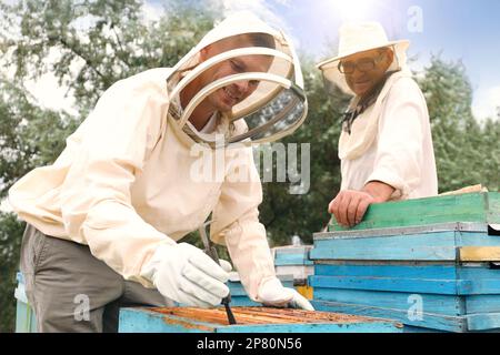 Imker in einheitlicher Honigernte in der Bienenstelle Stockfoto