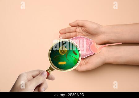 Mikroorganismenforschung. Frauen mit Vergrößerungsglas und Papierdarm-Ausschnitt auf beigem Hintergrund, Nahaufnahme Stockfoto