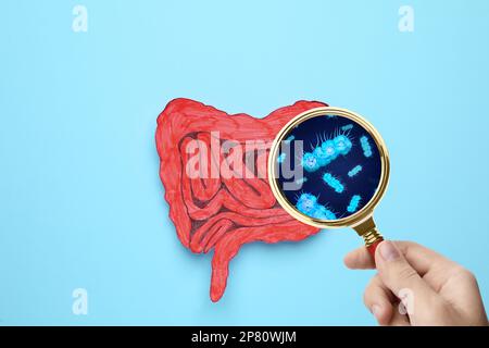 Mikroorganismenforschung. Frau mit Lupe und Papierdarm-Ausschnitt auf hellblau, Draufsicht Stockfoto