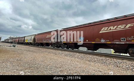 EMPORIA, KANSAS - 8. MÄRZ 2023 Ein BNSF-Güterzug, der Getreidewagen transportiert, die für den Transport von Mais, Weizen und Sojabohnen verwendet wurden, auf denen heute in westlicher Richtung künstlerisches Graffiti gemalt wurde. Stockfoto