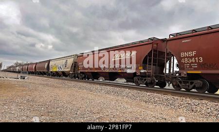 EMPORIA, KANSAS - 8. MÄRZ 2023 Ein BNSF-Güterzug, der Getreidewagen transportiert, die für den Transport von Mais, Weizen und Sojabohnen verwendet wurden, auf denen heute in westlicher Richtung künstlerisches Graffiti gemalt wurde. Stockfoto