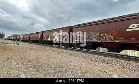 EMPORIA, KANSAS - 8. MÄRZ 2023 Ein BNSF-Güterzug, der Getreidewagen transportiert, die für den Transport von Mais, Weizen und Sojabohnen verwendet wurden, auf denen heute in westlicher Richtung künstlerisches Graffiti gemalt wurde. Stockfoto