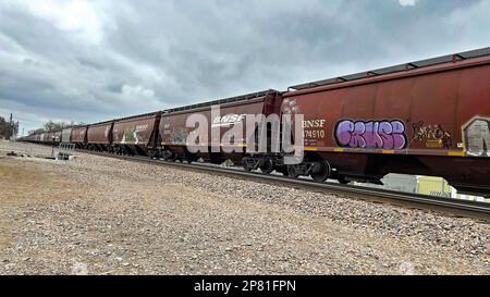 EMPORIA, KANSAS - 8. MÄRZ 2023 Ein BNSF-Güterzug, der Getreidewagen transportiert, die für den Transport von Mais, Weizen und Sojabohnen verwendet wurden, auf denen heute in westlicher Richtung künstlerisches Graffiti gemalt wurde. Stockfoto