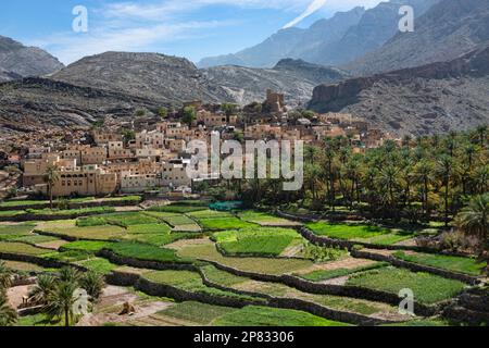 Das schöne Oasendorf bald Sayt (Balad Sayt), die westlichen Hajar Berge, Ash Sharaf, Oman Stockfoto