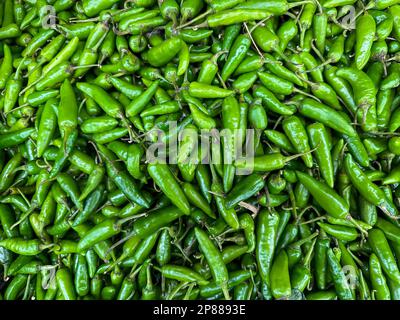 Frische grüne Chilis - Nahaufnahme vom Fresh Market. Sehr scharfe heiße Hari Mirchi oder Thai Green Chilis Stockfoto