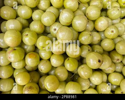 Indische Stachelbeere (Phyllanthus emblica) auf dem lokalen Markt. Stachelbeere zum Verkauf auf dem Markt. Frische Amla-Früchte, Malakka-Bäume oder Amla-Früchte. Embolisches Obst Stockfoto