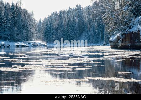 Blick auf Gauja und Sietiniezi an einem Wintertag mit Schnee und Frost in Lettland. Gaujas-Nationalpark. Stockfoto