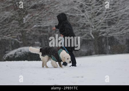 Birmingham, Großbritannien. 9. März 2023. Hunde und ihre Leute kommen vor dem ersten Tag von Crufts 2023. Kredit: ️Jon Freeman/Alamy Live News Stockfoto