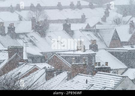 Schwere Schneefälle verdecken die Dächer der Häuser in der Brookvale-Gegend von Basingstoke nach einer Kältewelle am 8. März 2023. UK Stockfoto