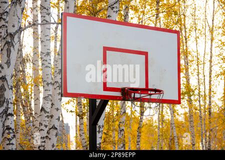 Sportplatz im Freien. Weißes Basketball-Shield mit rotem Ring im Garten. Heimgarten mit Basketballfeld. Aktive, gesunde Spiele. Wunderschönes Autum Stockfoto