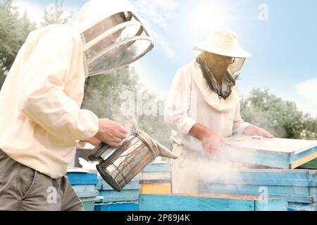 Imker in einheitlicher Honigernte in der Bienenstelle Stockfoto