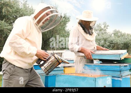 Imker in einheitlicher Honigernte in der Bienenstelle Stockfoto