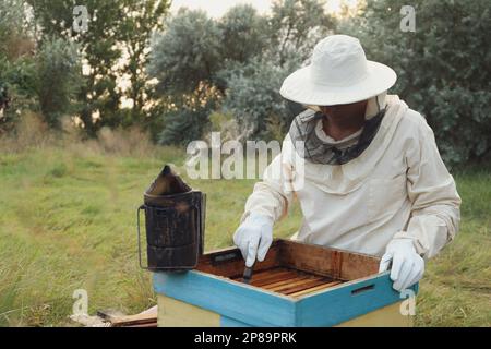 Imker kratzen Wachs aus dem Honigrahmen in der Bienenstelle Stockfoto