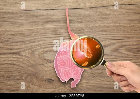 Mikroorganismenforschung. Frau mit Lupe und Papierdarm-Ausschnitt auf Holzhintergrund, Draufsicht Stockfoto