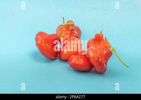 Rosenapfel, asiatische rote Wasserguave isoliert auf blauem Hintergrund Stockfoto