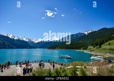 Die wunderschöne Landschaft des Tianchi-Sees im Tianshan-Gebirge, Xinjiang, mit schneebedeckten Bergen in der Ferne, und das weite und grüne Tianhu Lak Stockfoto