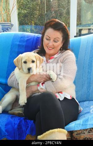 Attraktive, reife Frau, die mit einem jungen gelben labrador Retriever-Welpen, John Gollop, kuschelt Stockfoto