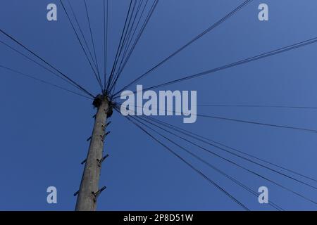 Ein Blick auf einen Telefonmast, der die Sprossen zum Klettern zeigt und die Kabel, die aus ihm ausstrahlen. Der Himmel darüber ist ein Blau. Als Hintergrund geeignet. Stockfoto