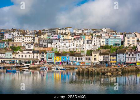 Brixham Devon, Blick auf das farbenfrohe Anwesen am Wasser im Hafen von Brixham, Torbay, Devon, Südwesten Englands, Großbritannien Stockfoto