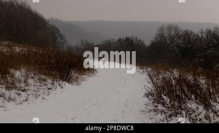 Schneebedeckte Wege, umgeben von Unkraut und Wald Stockfoto