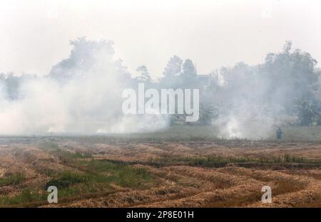 Bangkok, Thailand. 09. März 2023. Ein thailändischer Bauer verbrennt ein Reisfeld in Vorbereitung auf die nächste Pflanzsaison in Bangkok. In Thailand ist die Luftqualität schlecht, da Feinstaub (PM 2,5) durch verschiedene Faktoren wie Feldverbrennung und Fahrzeugabgase verursacht wird. Kredit: SOPA Images Limited/Alamy Live News Stockfoto