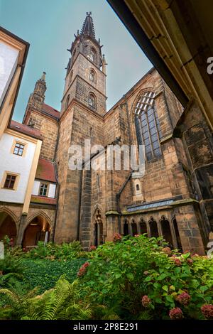 Im Innenhof der Kathedrale in Meissen. Sachsen, Deutschland Stockfoto