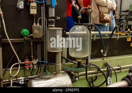 Verschließung einer automatisierten Melkmaschine einer Kamelmilch und Zuchtbetrieb des domestizierten Camelus dromedarius. Stockfoto