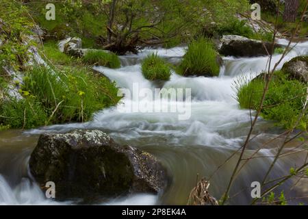 Nahaufnahme eines Flusses, der über Felsen fließt, Madrid, Spanien Stockfoto