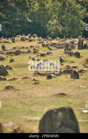 Gräber auf dem Wikingerfriedhof Lindholm Hoje in Dänemark. Hochwertiges Foto Stockfoto