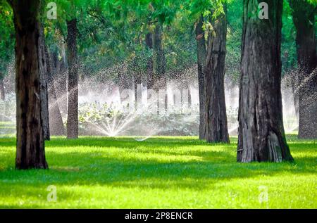 Wassersprenger unter Bäumen auf einem Rasen Stockfoto