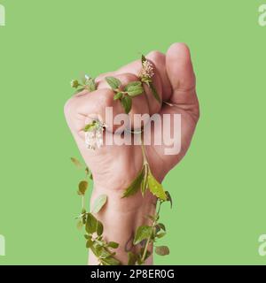 Hand, Pflanzen und Wachstum mit einer Person im Studio auf grünem Hintergrund, die Faust geballt für Ökologie. Natur, Frühling und Blumen wachsen um die herum Stockfoto