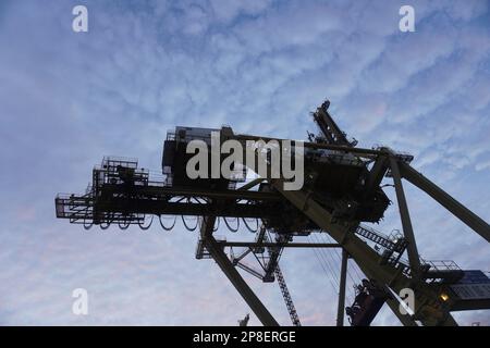 Container-Lifter für schwere Geräte am Hafen am Abend Stockfoto