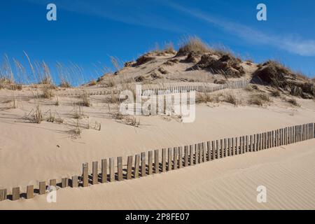 Sanddünen-Zaun am Yyteri-Strand im Frühling, Pori, Finnland. Stockfoto