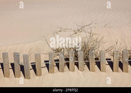 Sanddünen-Zaun am Yyteri-Strand im Frühling, Pori, Finnland. Stockfoto